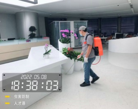 Qianhai Talent Hong Kong Service